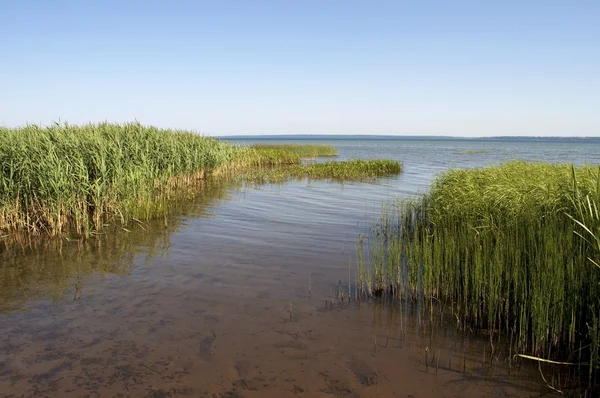 Orilla del lago Pleshcheyevo, Rusia —  Fotos de Stock