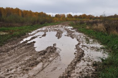 toprak yol üzerinde su birikintileri