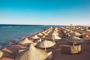 bir sharm el-Sheikh'da kıyı şeridi