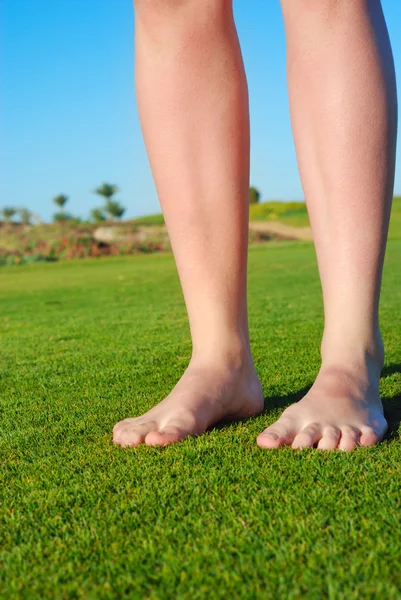 Jambes féminines sur l'herbe — Photo