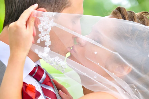 La pareja casada se besa — Foto de Stock