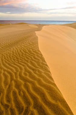 Maspalomas çöl