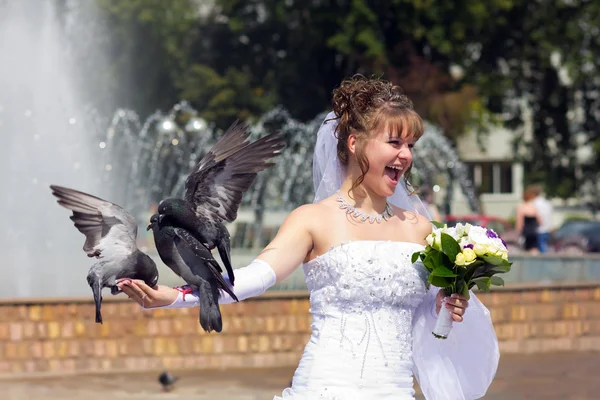 Beautiful bride with a pigeons — Stock Photo, Image
