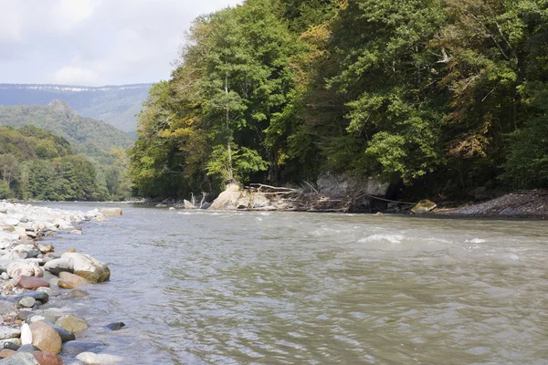 stock image Mountain river