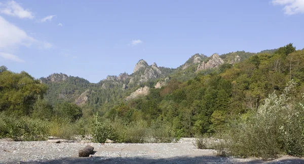 stock image The mountains and forest.