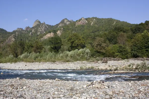 stock image Mountain river