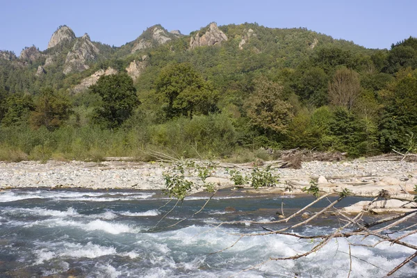 Stock image Mountain river