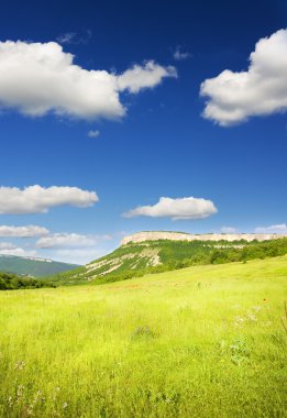 Dağdaki yeşil çayır.