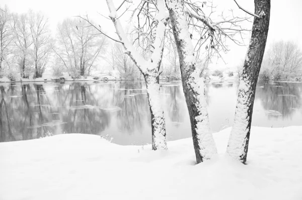 Fiume invernale — Foto Stock