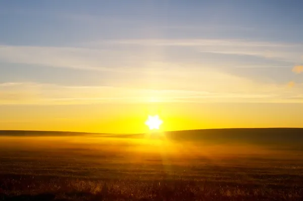 Восход солнца на летнем поле . Стоковая Картинка