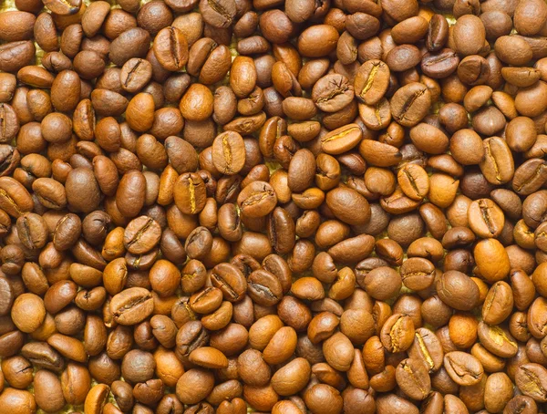 Pachnące ziaren kawy — Zdjęcie stockowe
