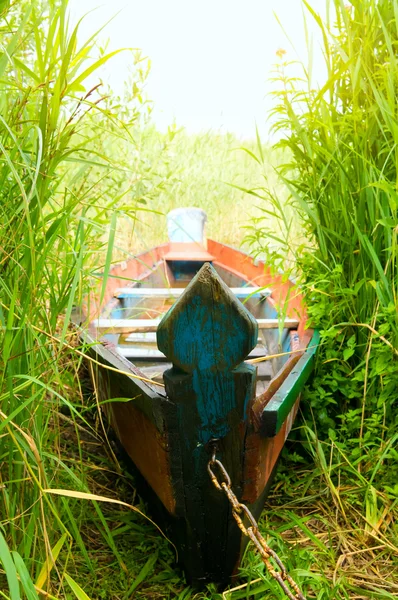 Green boat in a high cane — Stock Photo, Image