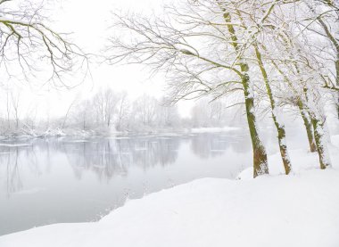 Winter landscape with the rive clipart