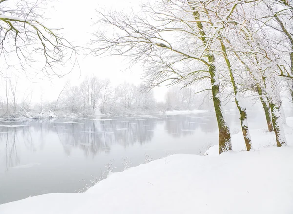 リヴと冬の風景 — ストック写真