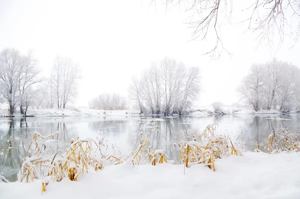 被冻结的冬季风景 — 图库照片