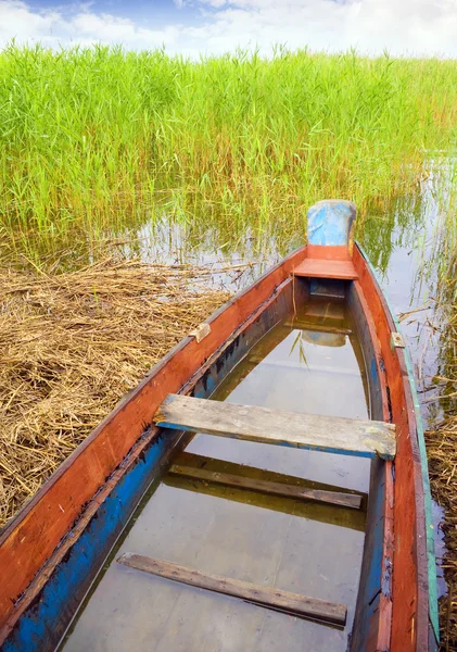 Boat in a high cane — Stock Photo, Image