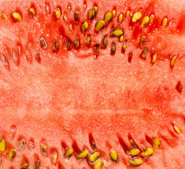 stock image Water melon back ground