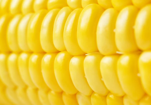 Yellow sweet corn — Stock Photo, Image