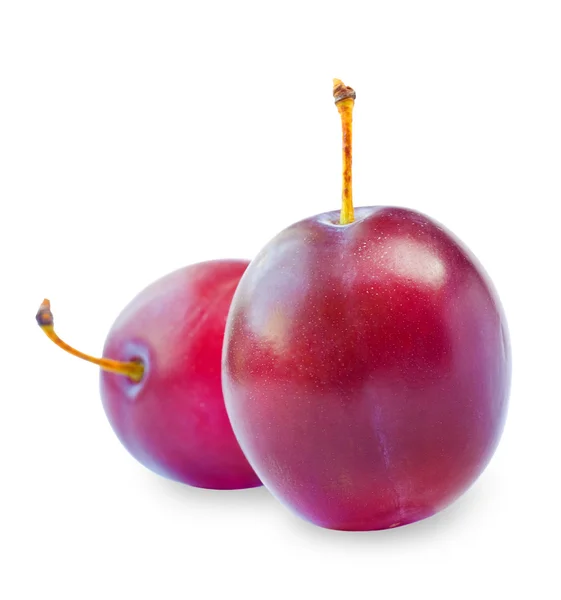 Sweet ripe plums — Stock Photo, Image
