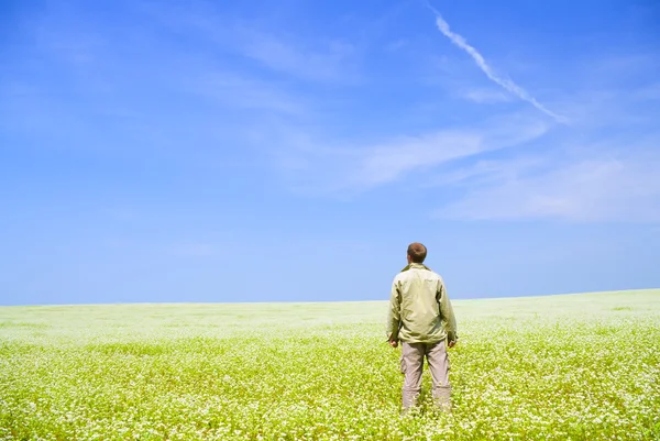 Man on green meadow. — Stock Photo, Image