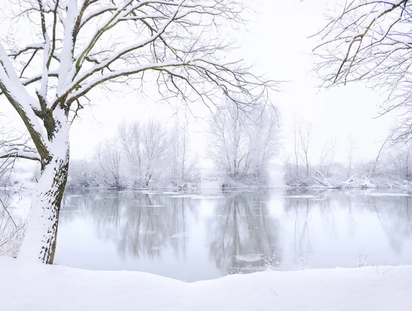 Winter landscape Royalty Free Stock Images