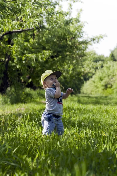 Boy in the garden outdoors — Stock Photo, Image