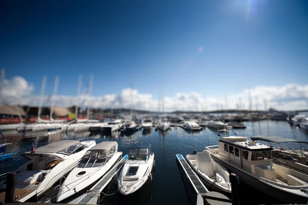 Harbour with yachts — Stock Photo, Image