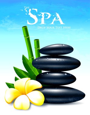 Spa vector illustration clipart