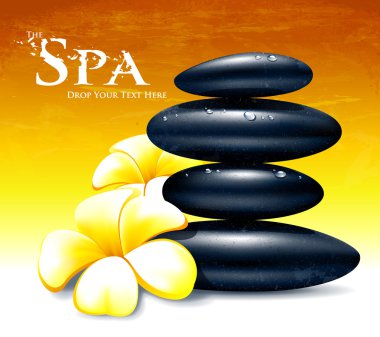 Spa vector illustration clipart