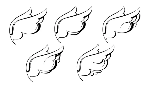 Croquis des ailes graphiques noir et blanc — Image vectorielle