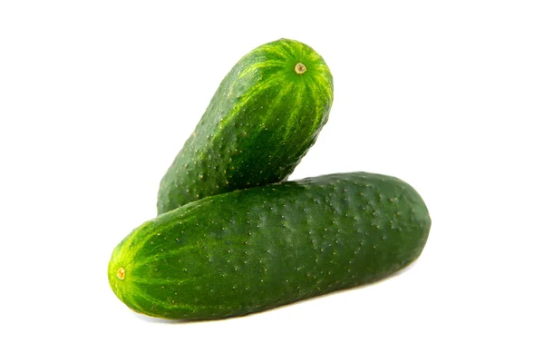 Ripe cucumber isolated on white background — Stock Photo, Image