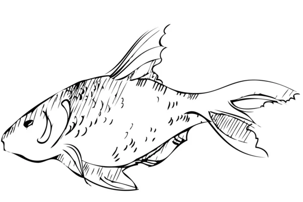 大きな魚の地球の貯水池の住民 — ストックベクタ