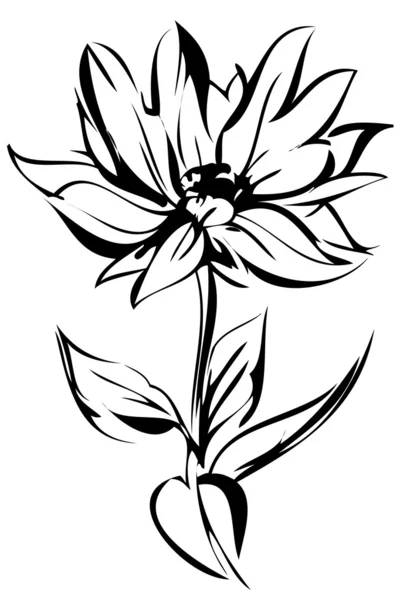 Skizze einer aufblühenden Blume auf einem Stiel — Stockvektor