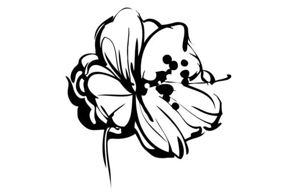 Esboço de botão de florescer flor — Vetor de Stock