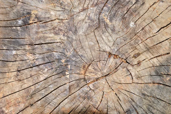 Corte de madera envejecida — Foto de Stock