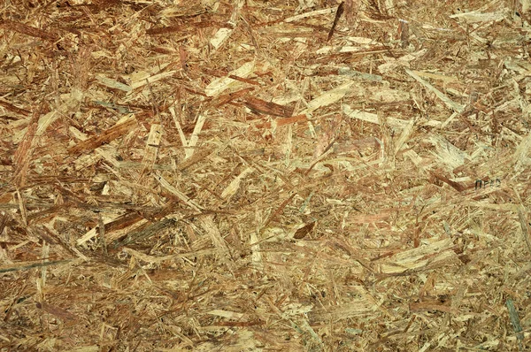 Wooden fibers — Stock Photo, Image