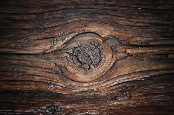 Nodo dell'albero — Foto Stock