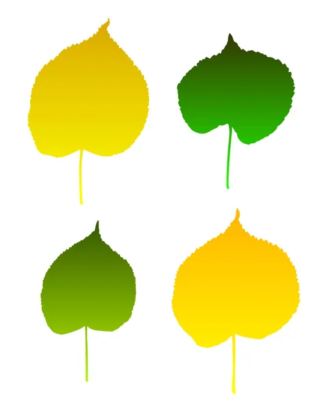 Липових листя — стоковий вектор