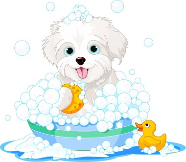 Fluffy dog having a bath clipart