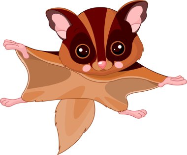 Fun zoo. Flying squirrel clipart