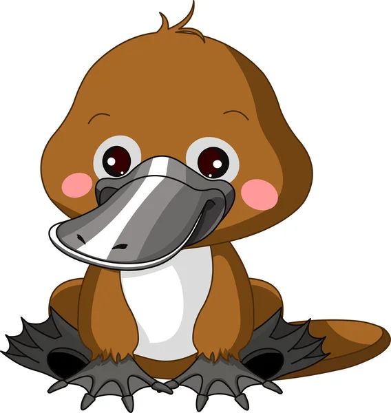 Leuke dierentuin. Platypus — Stockvector