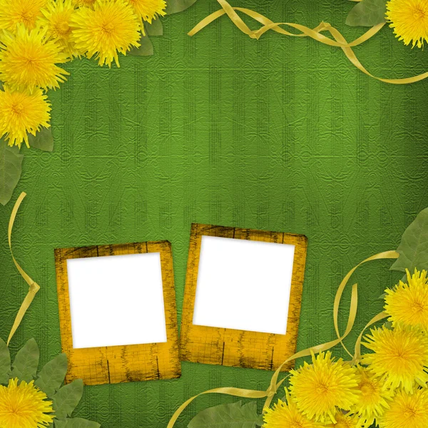 Sfondo astratto verde con fiori di tarassaco — Foto Stock