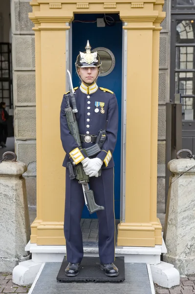 Suécia Guarda Real — Fotografia de Stock