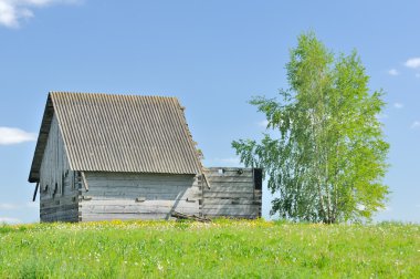 Huş ağacı ile bitmemiş ahşap kır evi