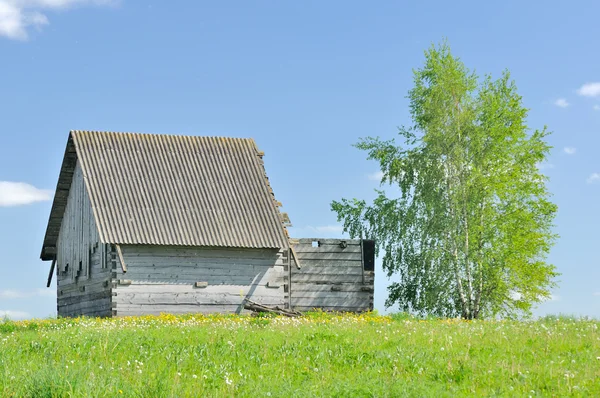 Unfertiges hölzernes Landhaus mit Birke — Stockfoto