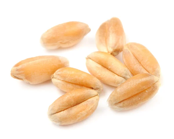 Macro grains de blé entier — Photo