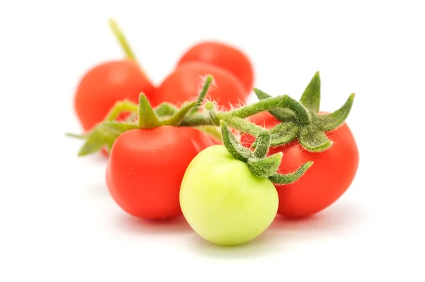 红色和绿色樱桃西红柿 — 图库照片