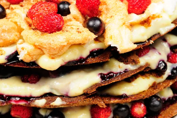 Muhallebi ve taze meyveleri lezzetli ev yapımı kek — Stok fotoğraf