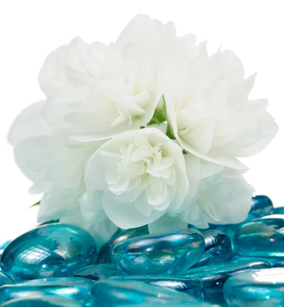 Fijne witte jasmijn bloemen op blauw glas stenen — Stockfoto