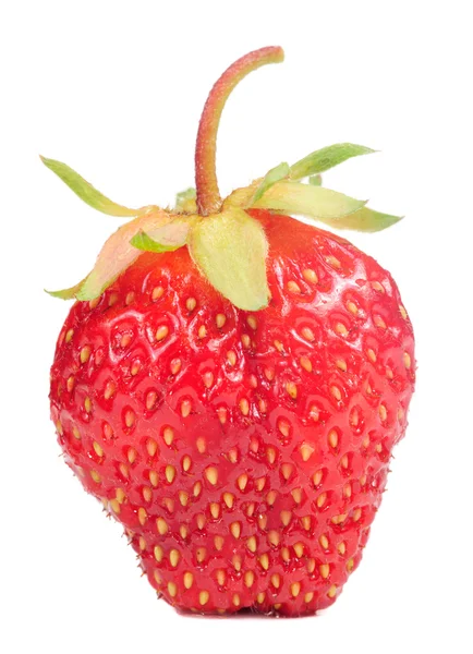 하얀 배경에 따로 떨어져 있는 붉은 딸기 — 스톡 사진